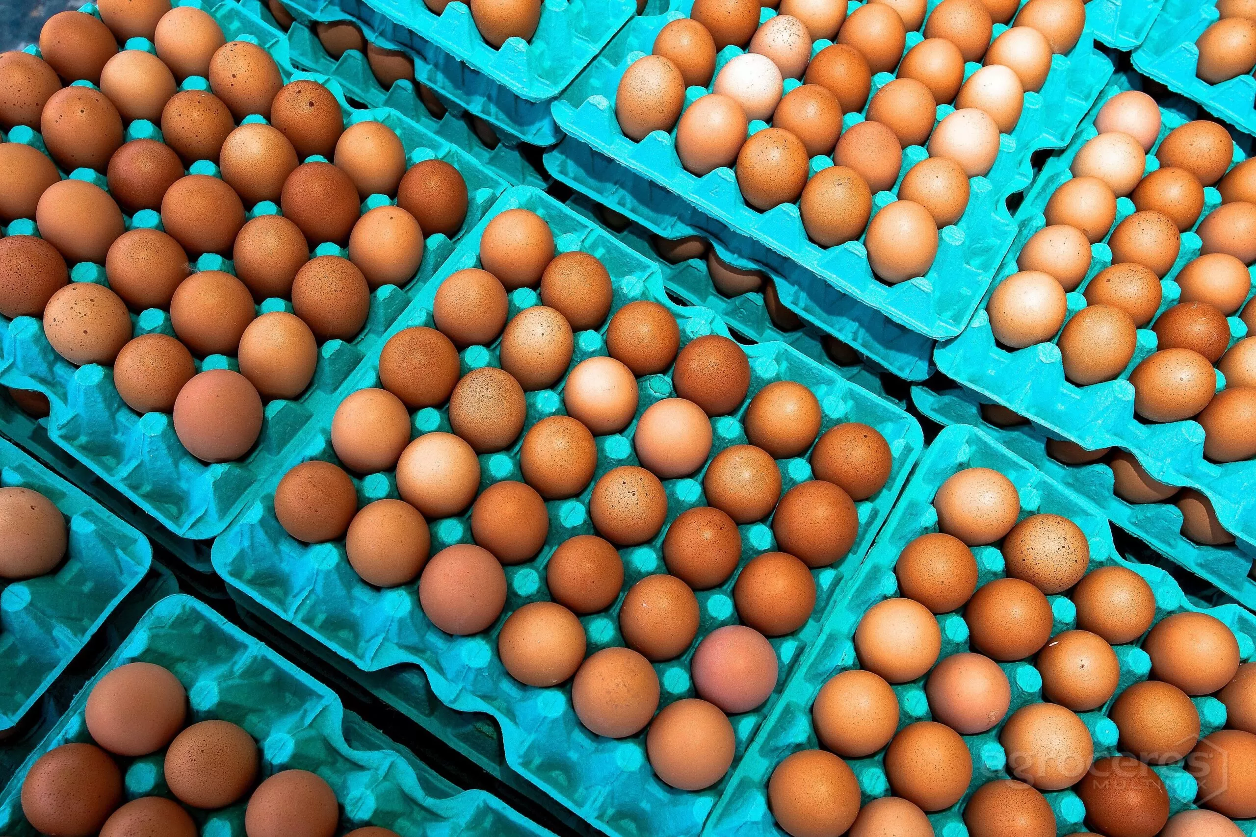 Ovo em Alta: Calor, Milho Caro e Quaresma Impactam Preços no Brasil