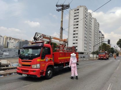 Idosas ficam feridas após acidente e ataque de abelhas em Unaí (MG)