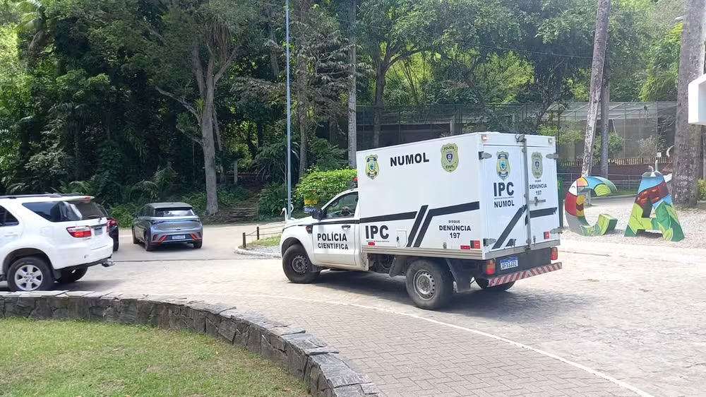 Homem morre após entrar em jaula e ser atacado por leoa em zoológico de João Pessoa