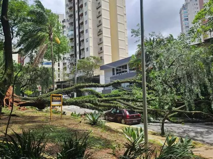 Grande SP amanhece com mais de 1,5 milhão de imóveis sem energia após ventos fortes