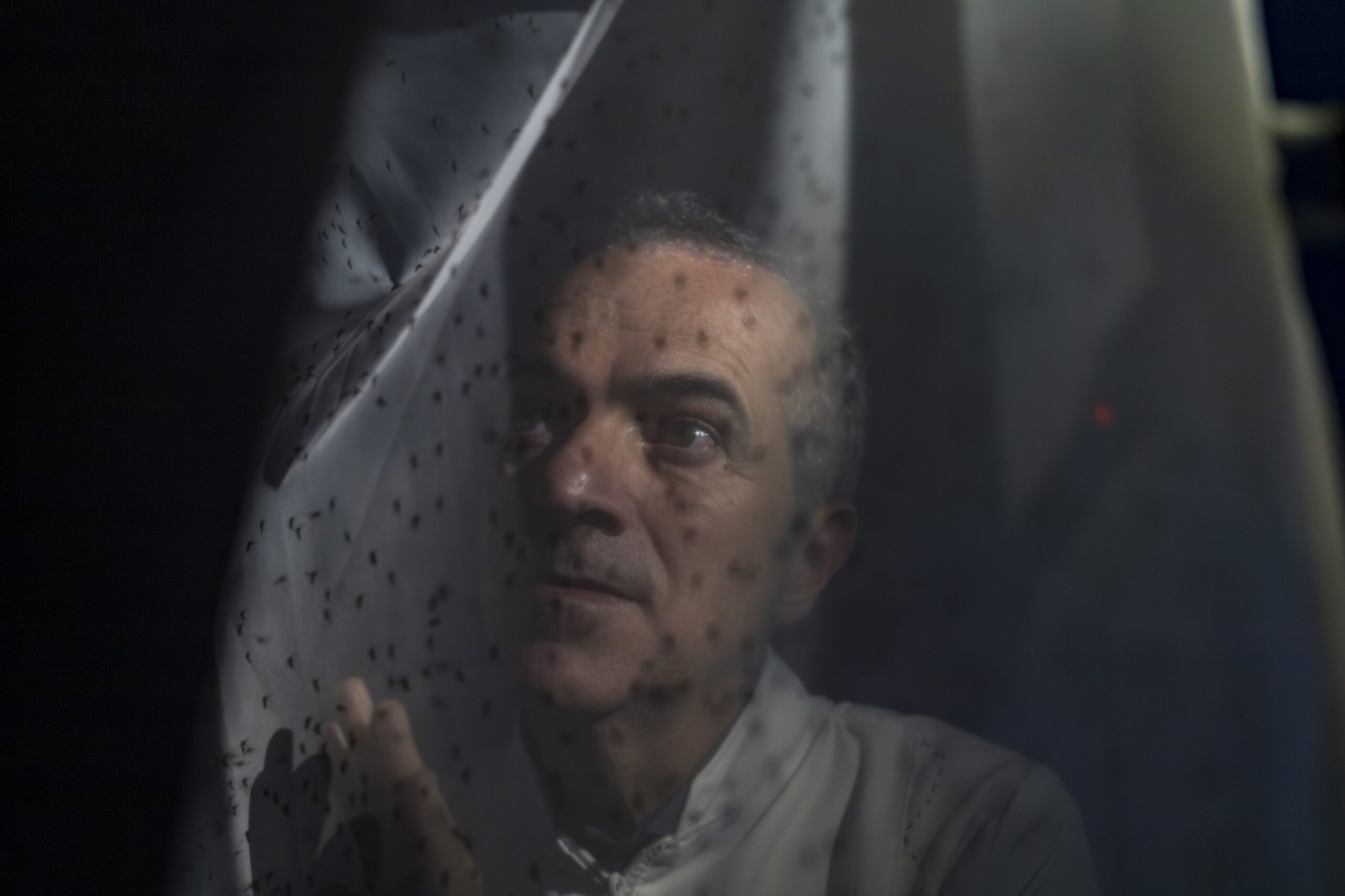 Brasileiro que desenvolveu mosquitos que combatem dengue é reconhecido entre os cientistas mais influentes de 2025