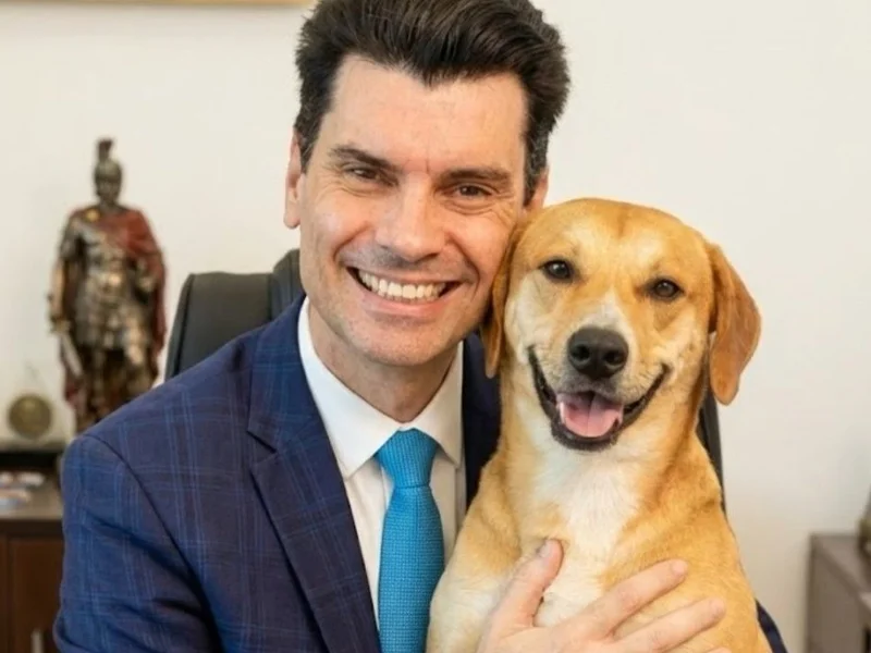 MPSC apura atuação de delegado-geral em caso da morte do cão Orelha