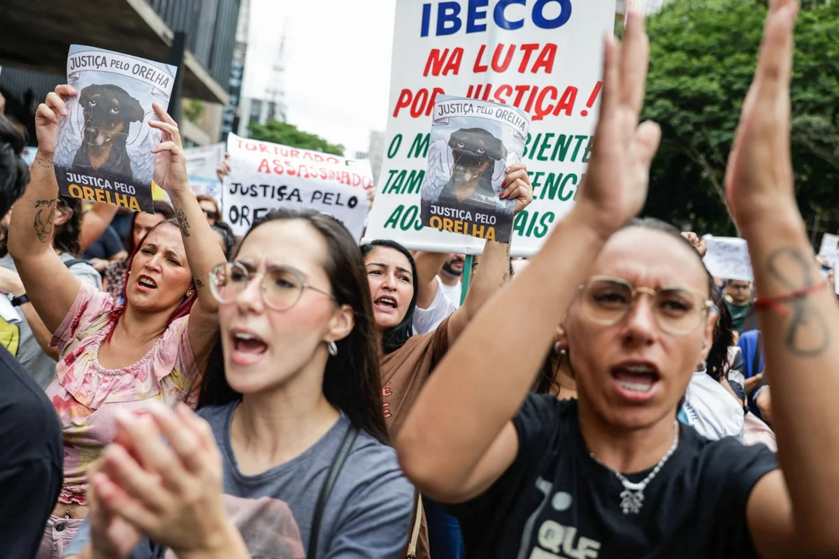 Manifestação na Avenida Paulista pede punição por morte de cão em Florianópolis