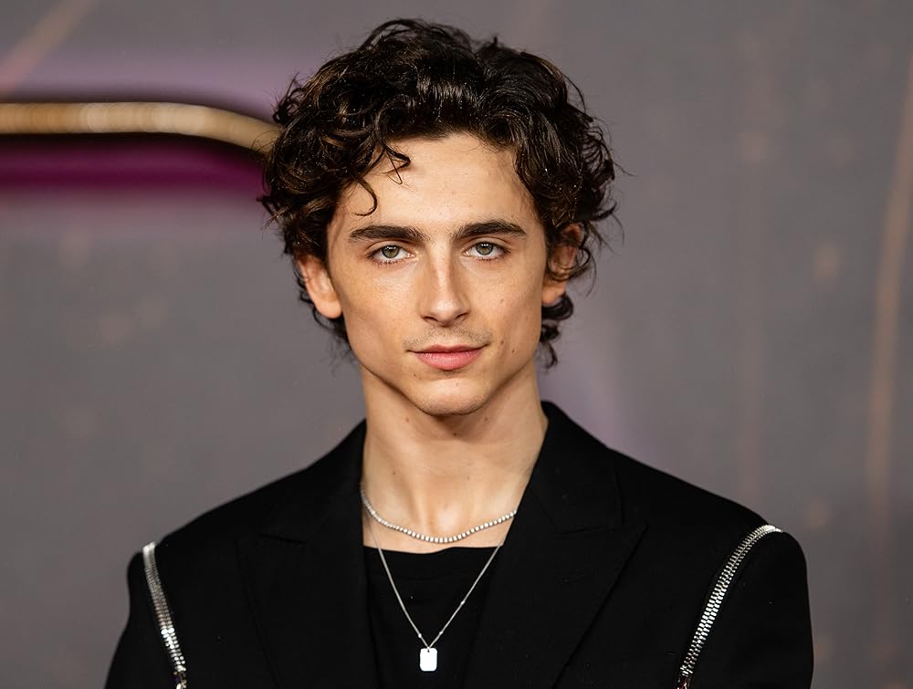 Comentário de Timothée Chalamet sobre ópera e balé gera reação de companhias e artistas