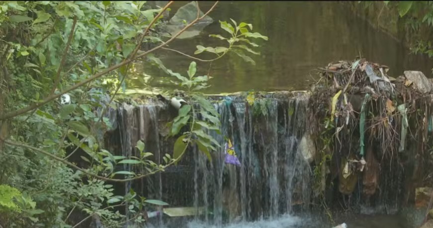 Estudo aponta piora na qualidade da água em rios de 14 estados brasileiros