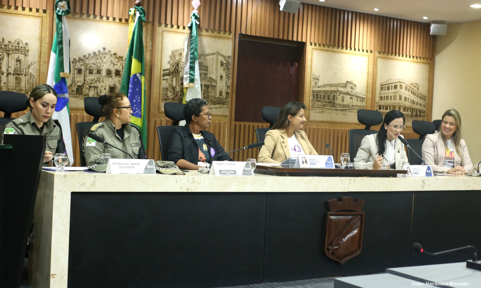 CMN debate políticas de enfrentamento à violência contra a mulher em audiência