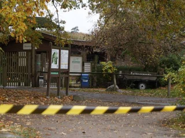 Menina de 8 anos fica gravemente ferida após ataque de lobo em zoológico