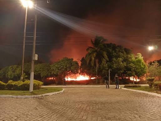Fogo atinge vegetação próxima à Reitoria da UFRN e universidade anuncia investigação