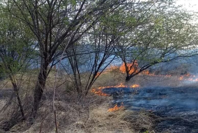 RN registra mais de 1,8 mil incêndios em vegetação nos primeiros nove meses de 2026