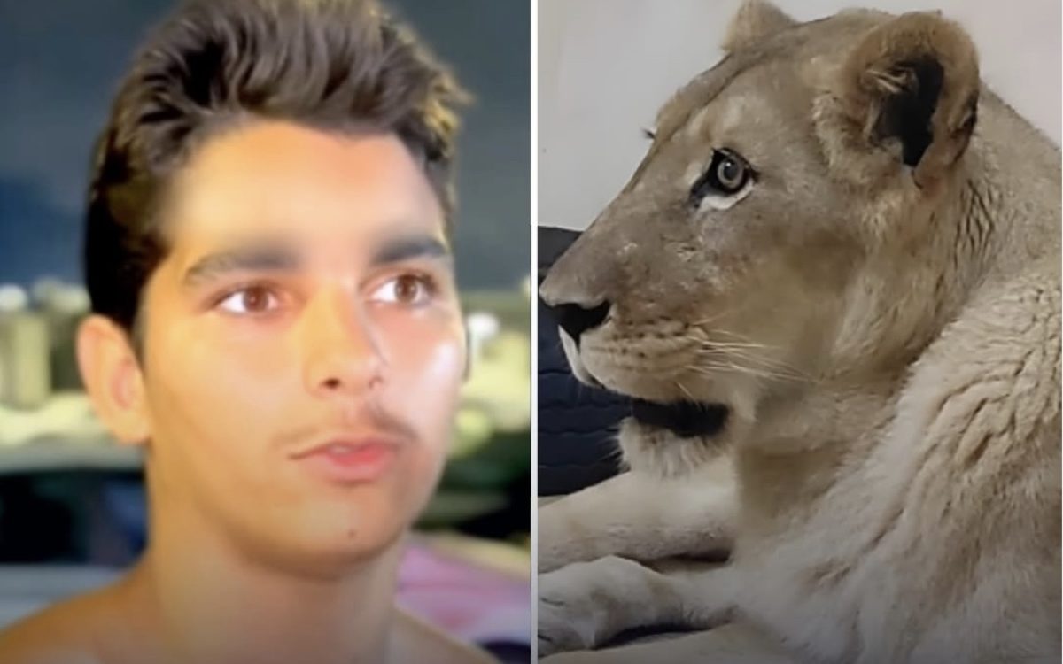 Homem morre após invadir recinto de leoa em zoológico de João Pessoa