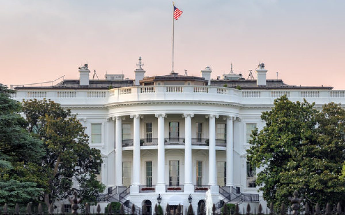 Senadores brasileiros vão aos EUA tentar barrar tarifa de 50% imposta por Trump