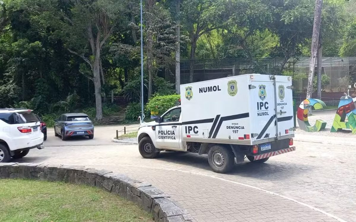 Homem morre após entrar em jaula e ser atacado por leoa em zoológico de João Pessoa