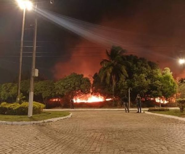 Fogo atinge vegetação próxima à Reitoria da UFRN e universidade anuncia investigação