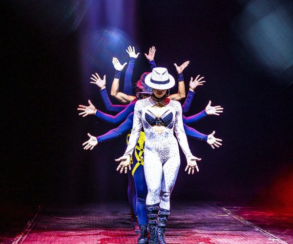 Após 20 anos, Internacional Circo Kroner retorna a Natal com espetáculo emocionante