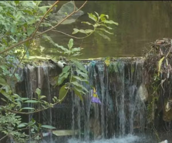 Estudo aponta piora na qualidade da água em rios de 14 estados brasileiros