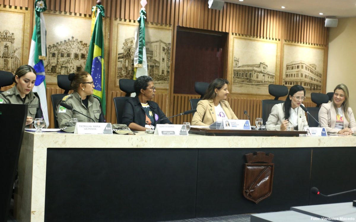 CMN debate políticas de enfrentamento à violência contra a mulher em audiência